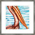 Brown Pelican Portrait Framed Print