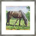 Brown Standing Horse Eating Framed Print