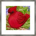 Brrr Bird Framed Print