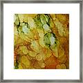 Brussel Sprouts Framed Print