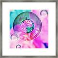 Bubble Roses Framed Print