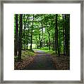 Buckner Farm Path Framed Print