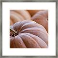 Buckskin Pumpkin Framed Print