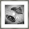 Budapest Shoes Memorial Danube Bank Framed Print