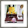 Buddhist Nun At Shwedagon Pagoda Framed Print