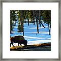 Buffalo Roam In Winter Framed Print