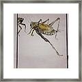 Bugs And Blooms Album Framed Print