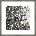 Building With Shadows Of The Trees In Lisbon Framed Print