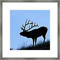 Bull Elk Silhouette Framed Print