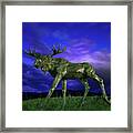 Bull Moose In Bronze Framed Print
