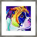 Bulldog - Pup Framed Print