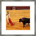 Bullfighting 39 Framed Print