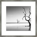 Boneyard Beach Iv Framed Print