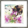 Bumble Bee On Flower Framed Print