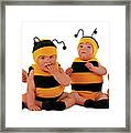 Bumblee Bees Framed Print