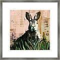 Bunny Framed Print