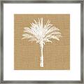 Burlap Palm Tree- Art By Linda Woods Framed Print
