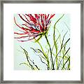 Bursting #2 Framed Print