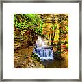 Bushkill Falls Beauty Framed Print