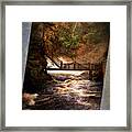 Bushkill Falls Framed Print