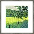 Buttercups In Field Framed Print