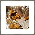 Butterflies And Glass Ii Framed Print
