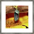 Butterfly Chrysalis And Sunflower Framed Print