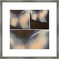 Butterfly Formations Framed Print