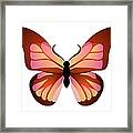 Butterfly Graphic Pink And Orange Framed Print