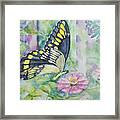 Butterfly In My Garden Framed Print