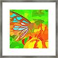 Butterfly On Flower Framed Print