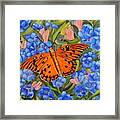 Butterfly Orange Framed Print