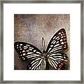 Butterfly Over Textured Background Framed Print