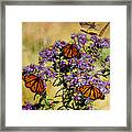 Butterfly Party Framed Print