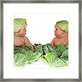 Cabbage Kids Framed Print