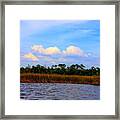 Cabbage Palms And Salt Marsh Grasses Of The Waccasassa Preserve Framed Print