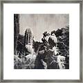 Cactus Flower 3 Framed Print