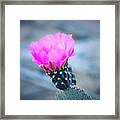 Cactus In Bloom Framed Print