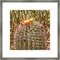Cactus Yellowtop Framed Print