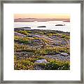 Cadillac Mountain View Framed Print