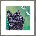 Cairn Terrier Framed Print