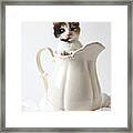 Calico Kitten In White Pitcher Framed Print