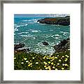 California Coast Framed Print