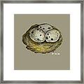 California Quail Eggs In Nest Framed Print