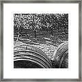 California Wine Country Wine Barrels Sonoma Valley Black And White Framed Print