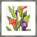 Calla Lilies Framed Print