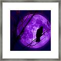 Calling Out To The Night Framed Print