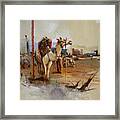 Camels And Desert 25 Framed Print