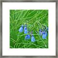 Can You Hear The Blue Bells Framed Print