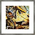 Can You See Me Framed Print